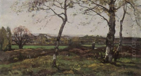 A Landscape With Birch Trees Oil Painting by Theophile Emile Achille De Bock