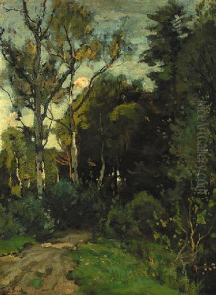 A Sunlit Birch Forest Oil Painting by Theophile Emile Achille De Bock