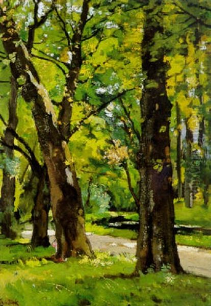A Sunlit Spot In The Woods Oil Painting by Theophile Emile Achille De Bock