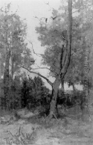 Bosrand In De Omgeving Van Renkum Oil Painting by Theophile Emile Achille De Bock