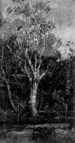 Waldstuck Mit Birke Oil Painting by Theophile Emile Achille De Bock