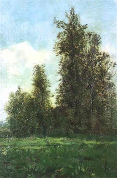 A Wooded Landscape Oil Painting by Theophile Emile Achille De Bock