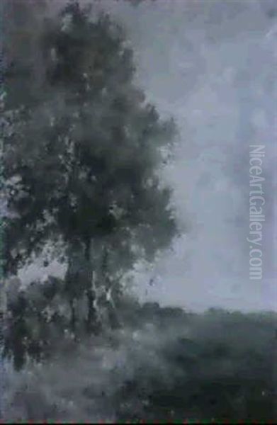 Landschaft Mit Birken Oil Painting by Theophile Emile Achille De Bock