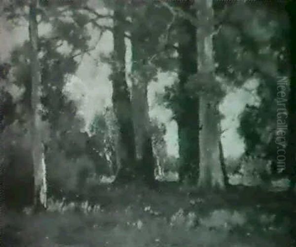 Sycamores At The Forest's Edge Oil Painting by Theophile Emile Achille De Bock