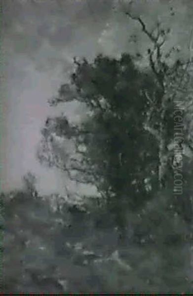 Summer Landscape Oil Painting by Theophile Emile Achille De Bock