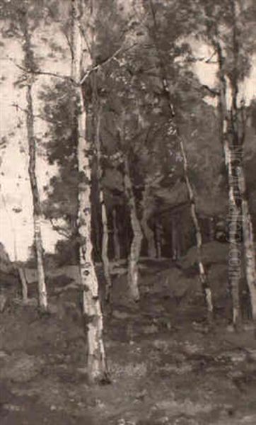 A Wooded Landscape Oil Painting by Theophile Emile Achille De Bock