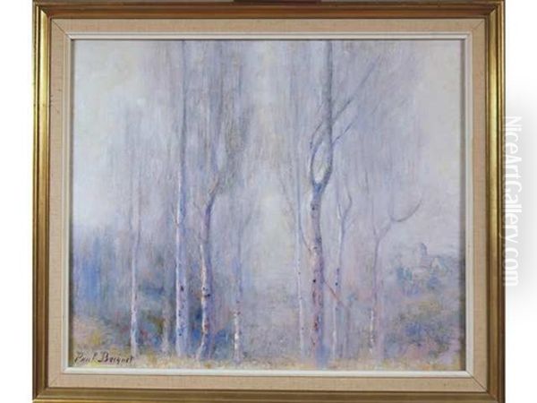 Les Bouleaux De Villers Allerand Oil Painting by Paul Bocquet