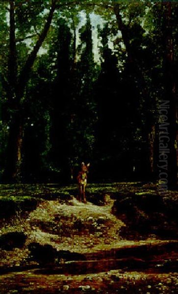 A Fawn At Stream's Edge Oil Painting by Karl Bodmer