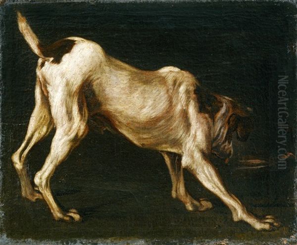 Bildnis Eines Hundes Oil Painting by Pieter Boel