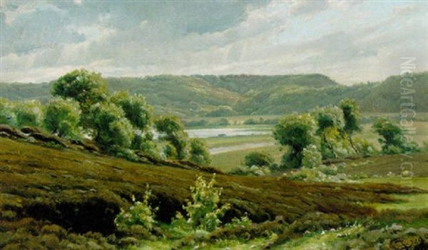 Parti Fra Silkeborgegnen Oil Painting by Johannes Boesen