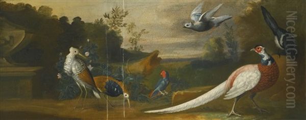 Ornamental Fowl In A Park Oil Painting by Jakob Bogdani