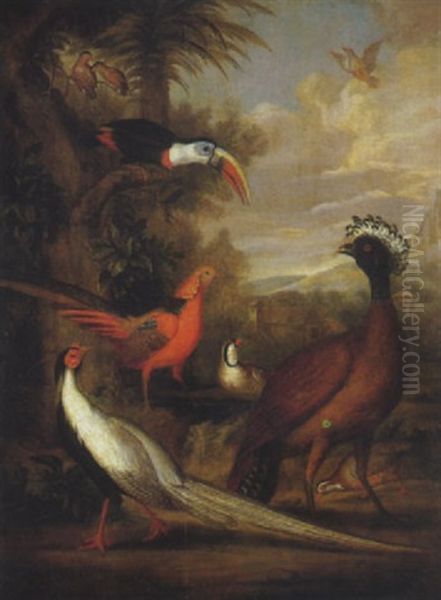 Golden And Silver Pheasant, Toucan, And Other Birds In A Landscape Oil Painting by Jakob Bogdani