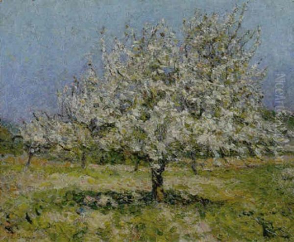 Alberi Con Fiori Oil Painting by Emilio Boggio