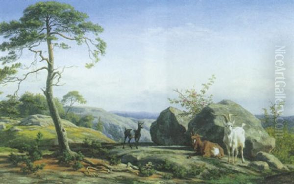 Sydlansk Landskab Med Bjerggeder Ved Rosenbusk Mellem Store Sten Oil Painting by Carl Henrik Bogh