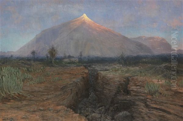 El Pico De Teide, Tenerife Oil Painting by Hans Bohrdt