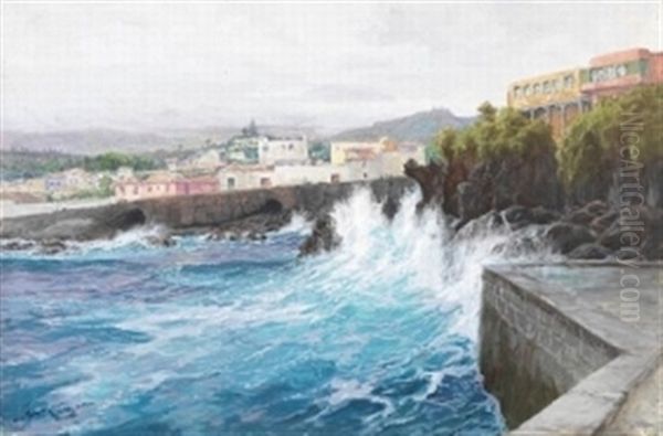 Kuste Bei Puerto Cruz, Orotava Auf Teneriffa Oil Painting by Hans Bohrdt