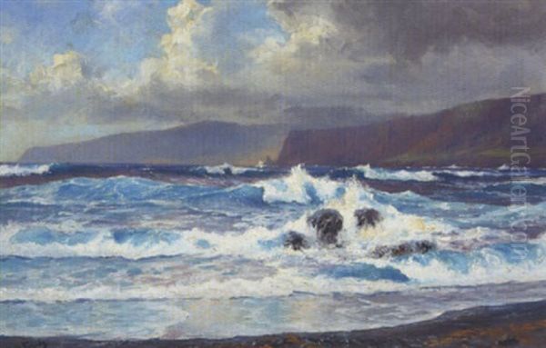 Kystparti, Tenerife Oil Painting by Hans Bohrdt