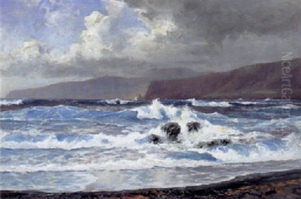 Playa De Martinez, Puerto Oratavo Teneriffe Oil Painting by Hans Bohrdt