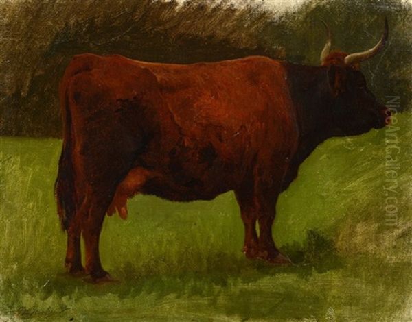Vache De Salers Oil Painting by Auguste Bonheur