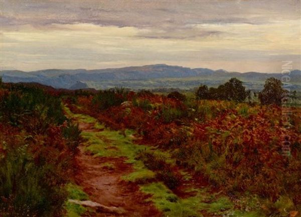 Paysage Aux Bruyeres Oil Painting by Auguste Bonheur