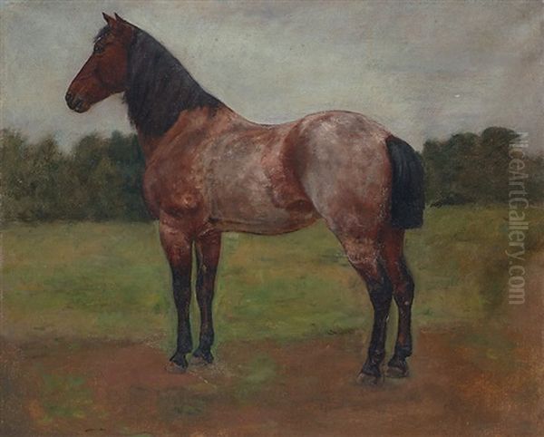 Cheval Au Pre Oil Painting by Auguste Bonheur
