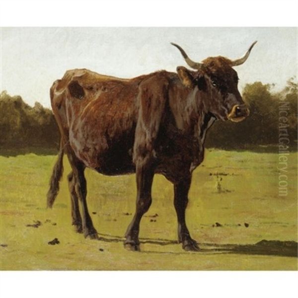 A Cow Grazing In A Meadow Oil Painting by Auguste Bonheur