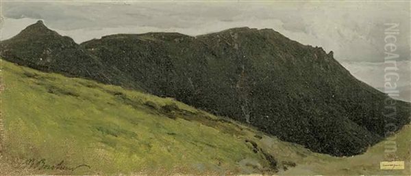 Bergige Landschaft In Der Auvergne Oil Painting by Auguste Bonheur