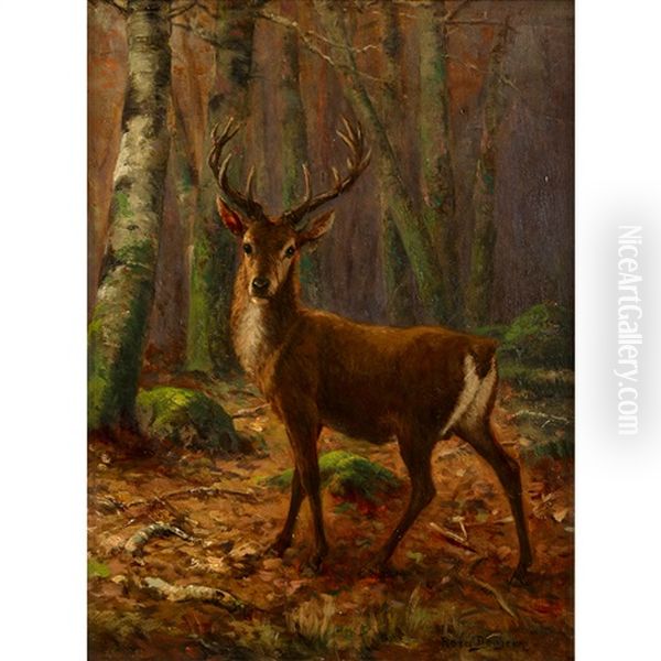 Stag In The Woods Oil Painting by Rosa Bonheur