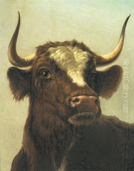 Study Of A Steer; Study Of A Donkey One 31 X 23.5cm (12 3/16 X 9 1/4in), The Other 29.5 X 25cm (11 5/8 X 9 13/16in).(2) Oil Painting by Rosa Bonheur