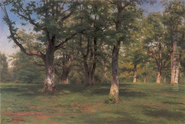 Foret De Fontainebleau:  Le Printemps Au Bois Oil Painting by Rosa Bonheur