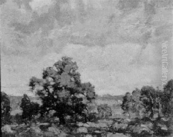 Summer Skies Oil Painting by Lester David Boronda