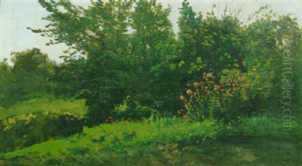 Paesaggio Con Siepe Di Cespugli E Fiori Oil Painting by Giacinto Corsi Di Bognasco
