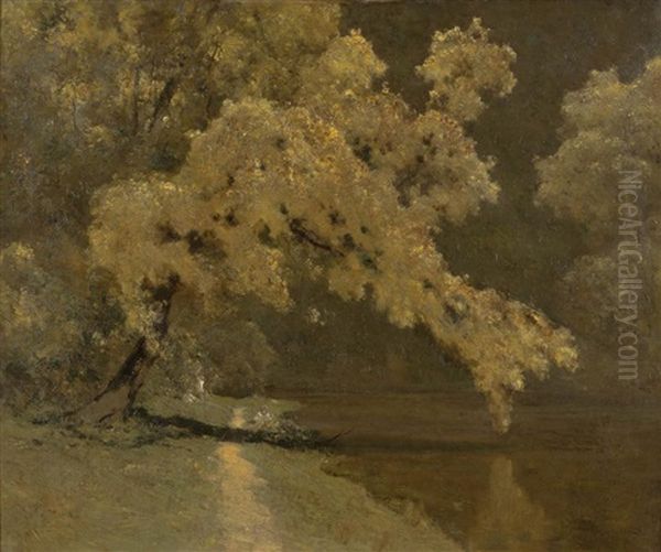 Wattle On The Yarra Oil Painting by Theodore Penleigh Boyd