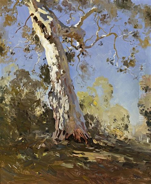 Morning (the White Gum) Oil Painting by Theodore Penleigh Boyd