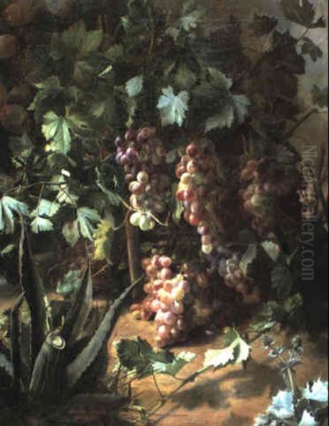 Grapes On A Vine Oil Painting by Jose Maria Bracho Murillo