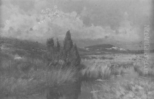 Weite Heidelandschaft Unter Einem Leicht Bewolkten Himmel Oil Painting by Eugen Felix Prosper Bracht