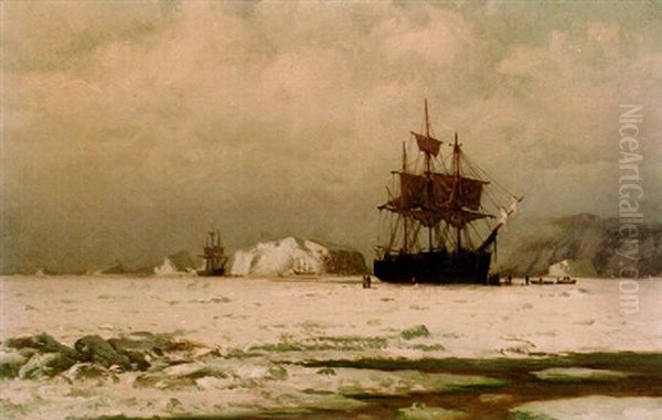 Icebound Whaler Oil Painting by William Bradford
