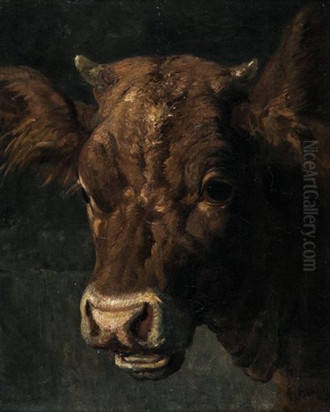 Kuhkopf Oil Painting by Anton Braith