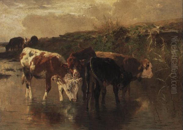 K,lber An Der Tranke Im Seichten Wasser Des Sees Oil Painting by Anton Braith