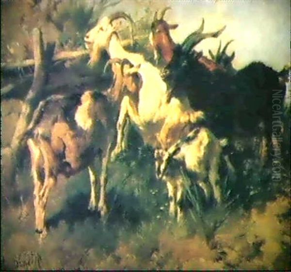 Ziegen Am Weidengatter Oil Painting by Anton Braith