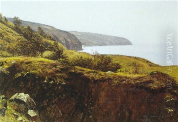 Parti Fra Bornholm Oil Painting by Johannes Herman Brandt