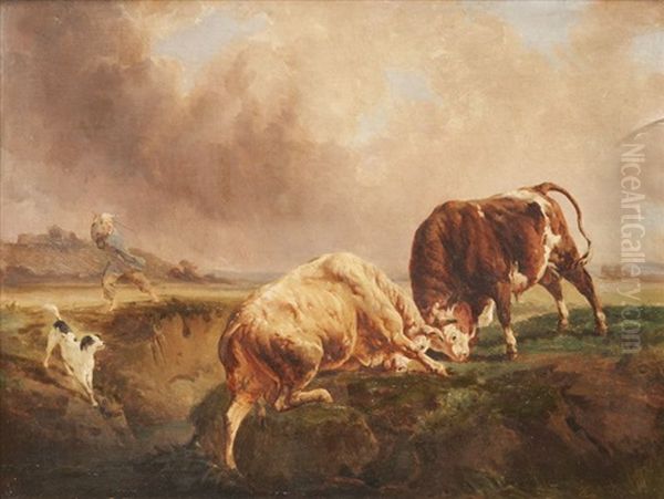 Combat De Taureaux Oil Painting by Jacques Raymond Brascassat