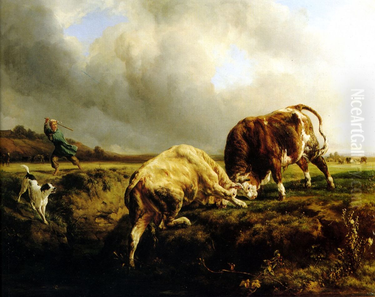 Lutte De Taureaux Oil Painting by Jacques Raymond Brascassat