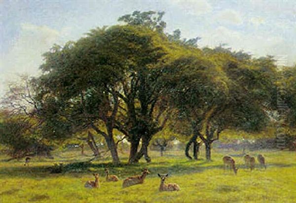 Varm Eftermiddag. Dyrehaven Oil Painting by Hans Ole Brasen