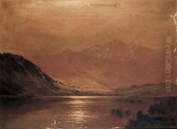 Moonlight, Llyn Gwernan, Dolgellau Oil Painting by Alfred Fontville de Breanski Jr
