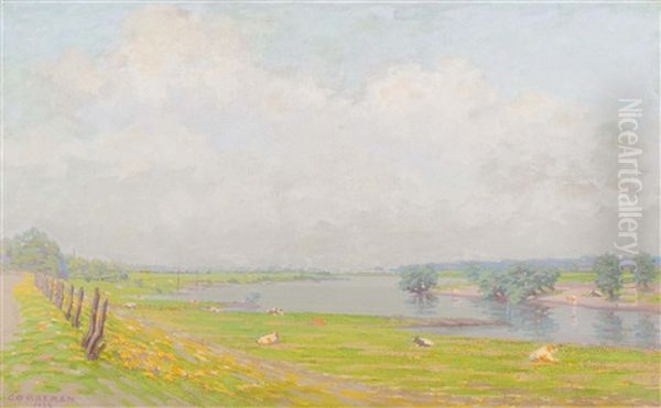 Ijssel Landscape Oil Painting by Co Breman