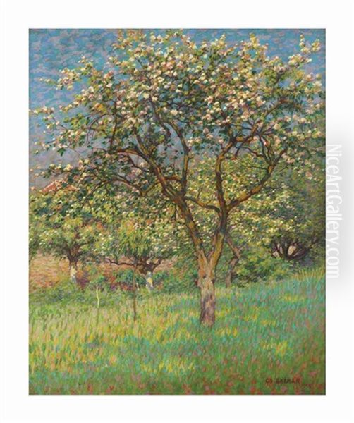 Blossoming Trees In Het Gooi Oil Painting by Co Breman