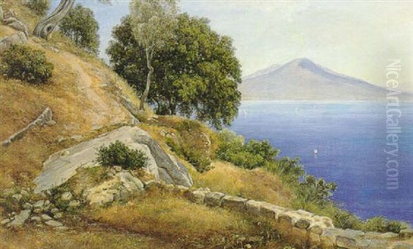 Ved Casamicciola Paa Ischias, I Baggrunden Sees Camaldole Og Vesuv, Procida Og Nisida Oil Painting by Thorald Brendstrup