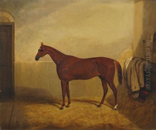 Racing Horse In A Stable, Reputed To Be Daniel O'rourke, Winner Of The Epsom Derby, 1852 Oil Painting by Thomas W. Bretland