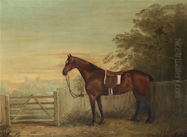 A Bay Hunter With Beverly Minster In The Background Oil Painting by Thomas W. Bretland